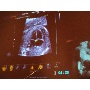 MSZNUT 2011. Pécs - Live Scanning 21.